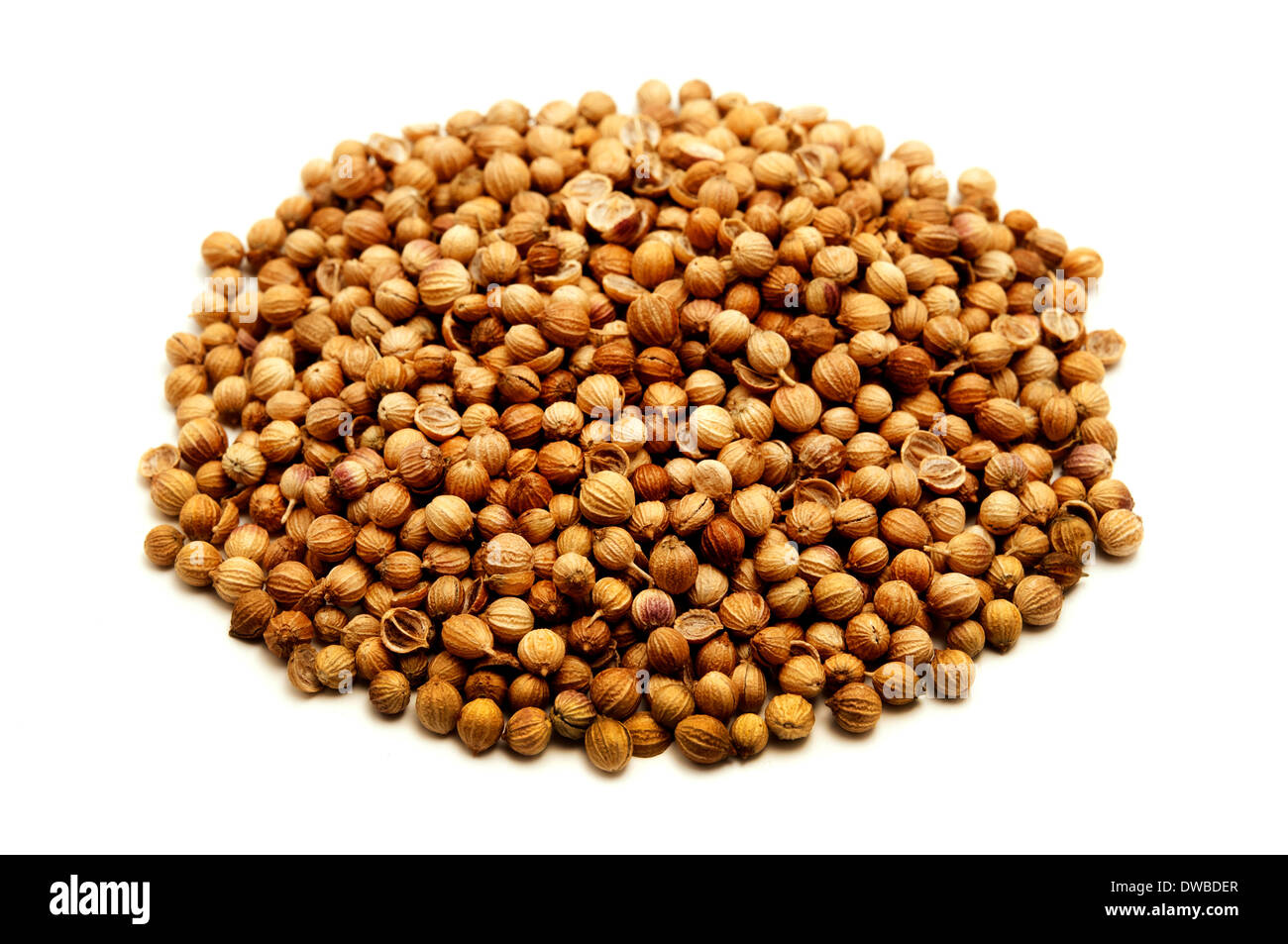 Coriander seeds on a white background Stock Photo