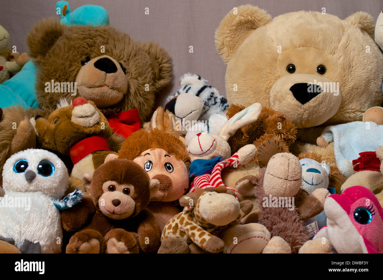 Collection of soft toys, studio shot Stock Photo - Alamy