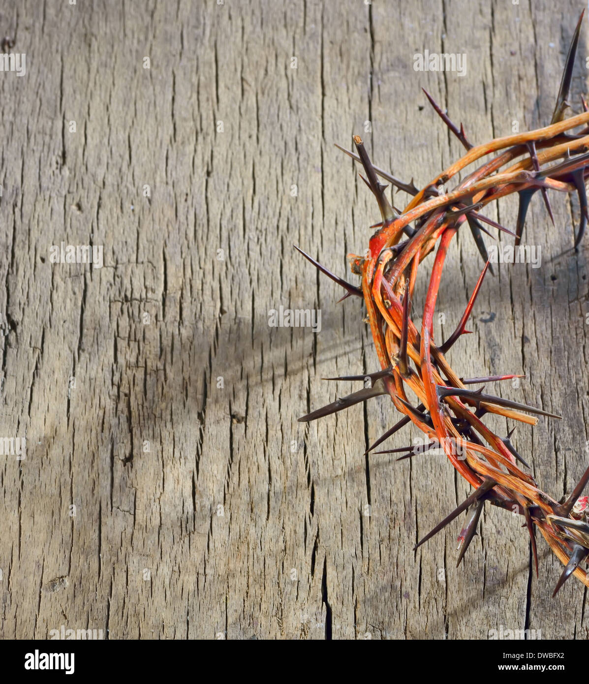 Holy crown of thorns hi-res stock photography and images - Alamy
