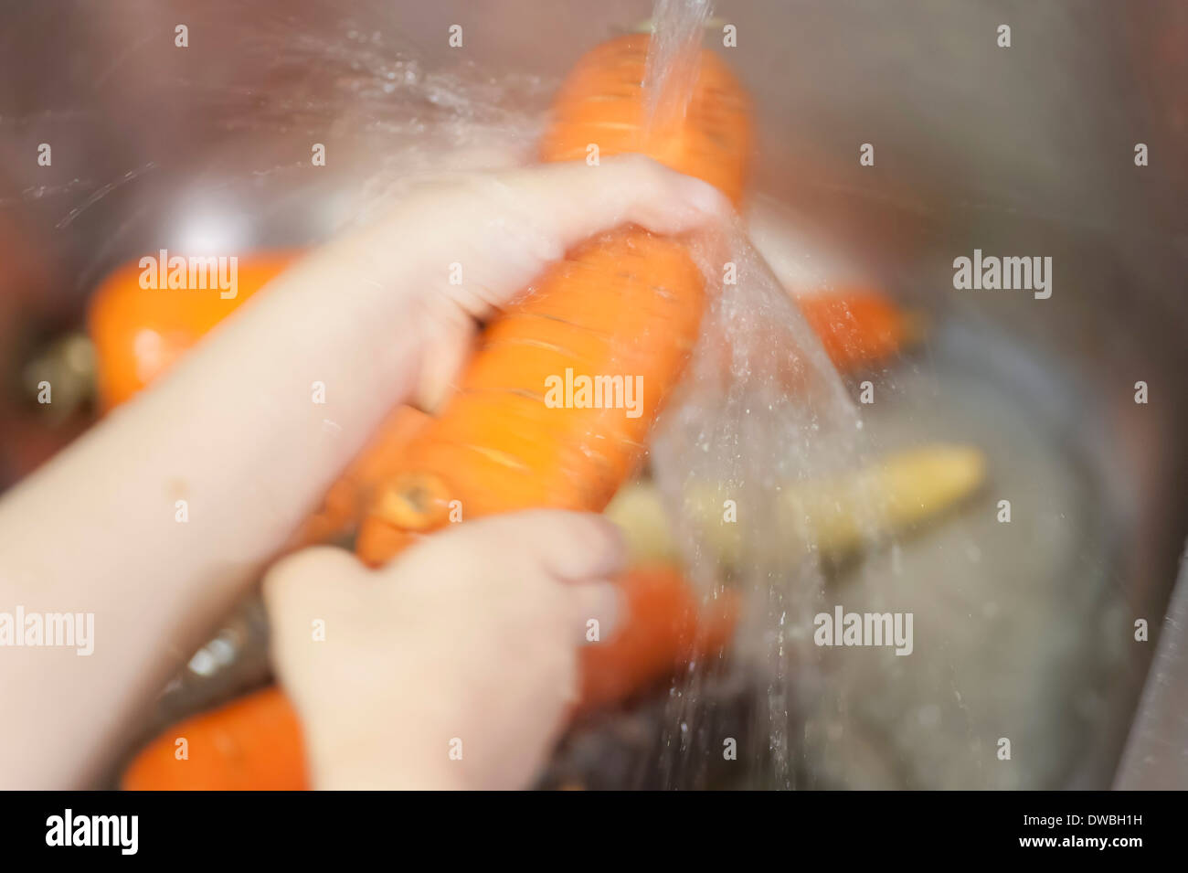 Carrots are being washed Stock Photo