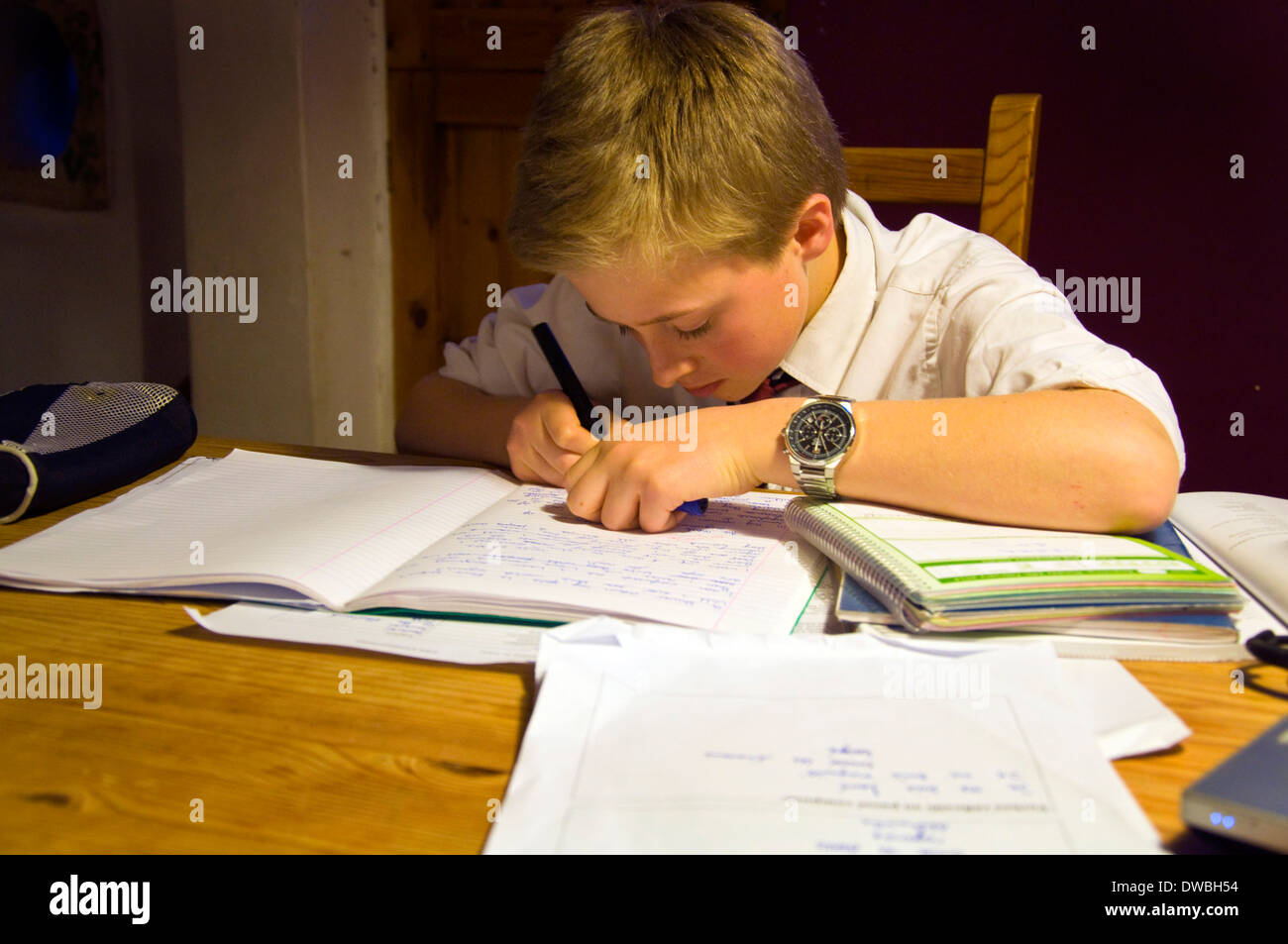 13 Year Old Boy Studying Stock Photos 13 Year Old Boy