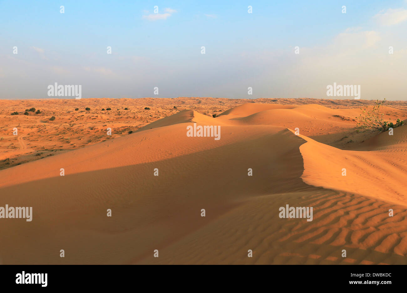 Wüste Rub al Khali - Ras al Khaima Stock Photo