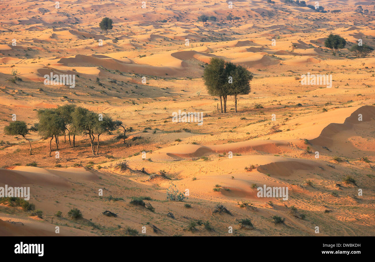 Wüste Rub al Khali - Ras al Khaima Stock Photo
