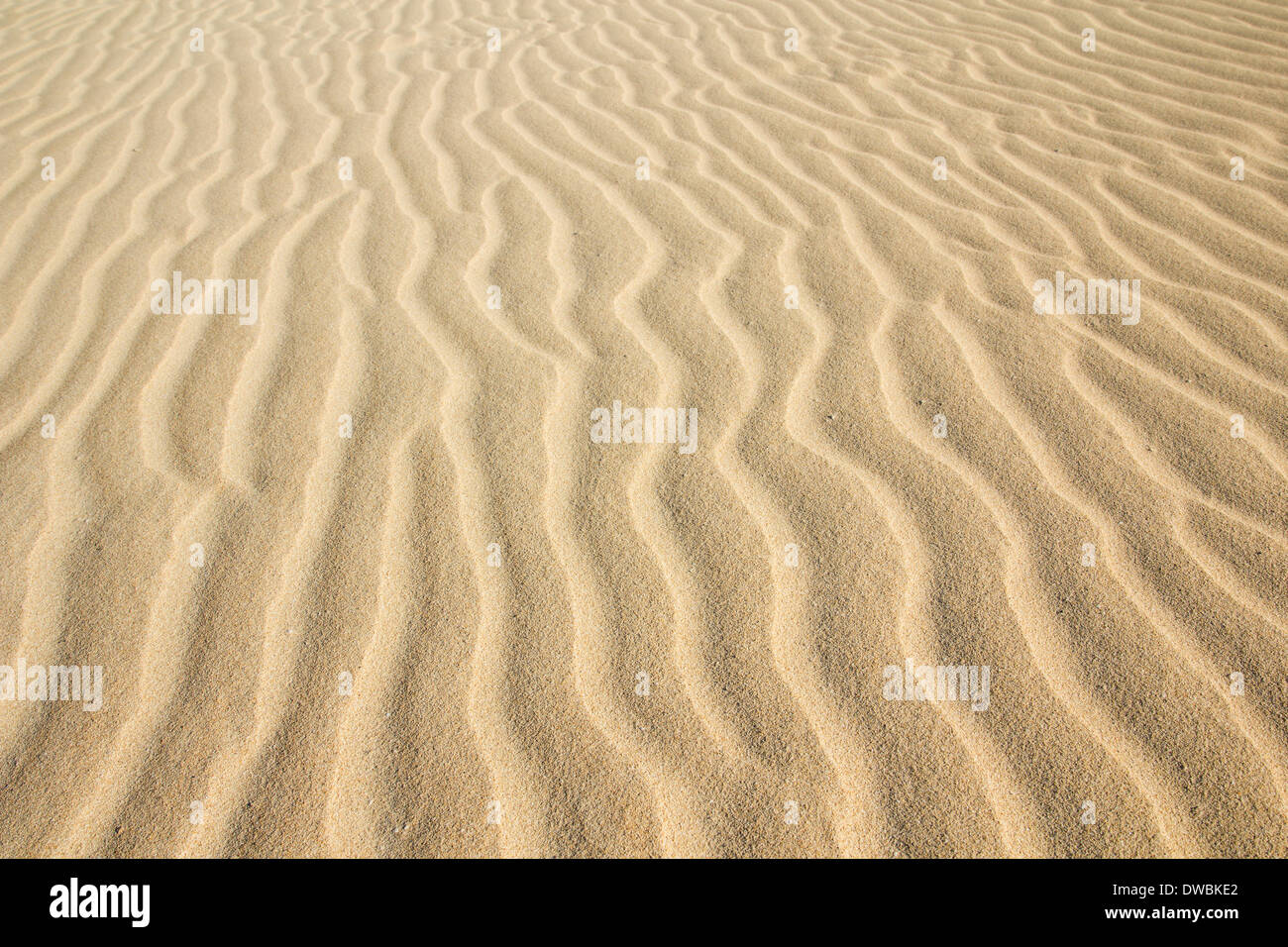 Desert sand pattern texture background Stock Photo