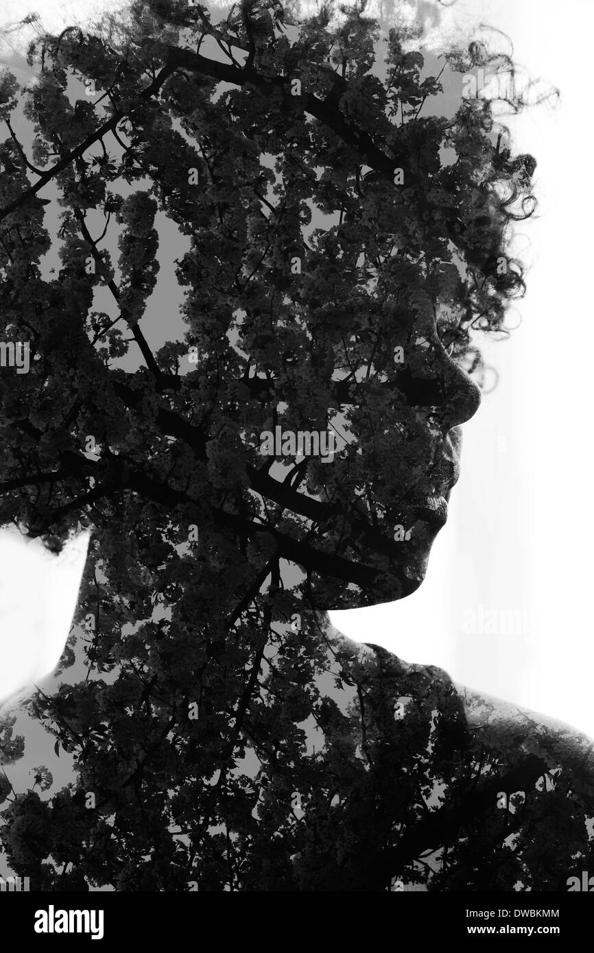 Silhouette woman afro american hi-res stock photography and images - Alamy