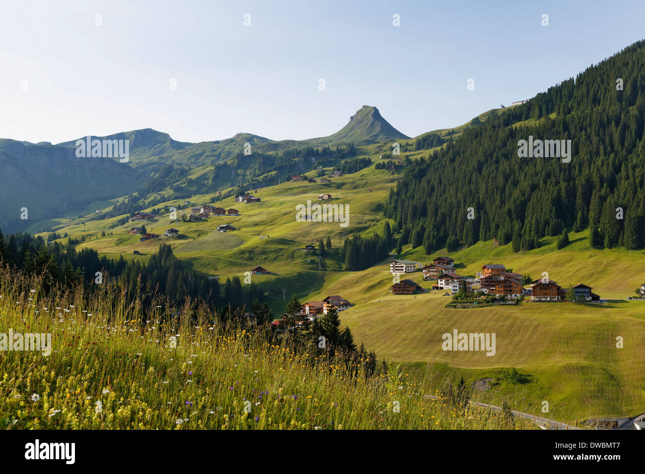 Austria, Vorarlberg, Bregenz Forest, Damuels and Damuelser Mittagsspitze Stock Photo