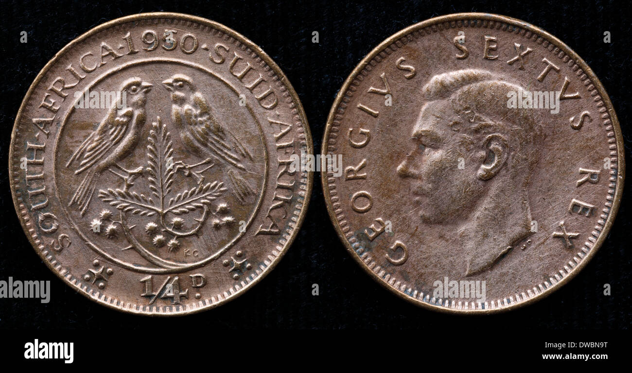 1 Farthing coin, South Africa, 1950 Stock Photo