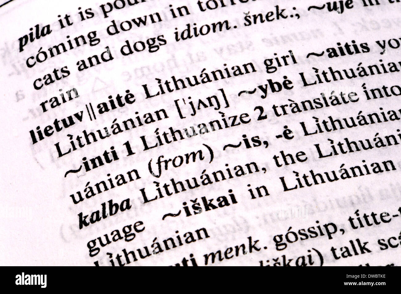 English-Lithuanian dictionary Stock Photo
