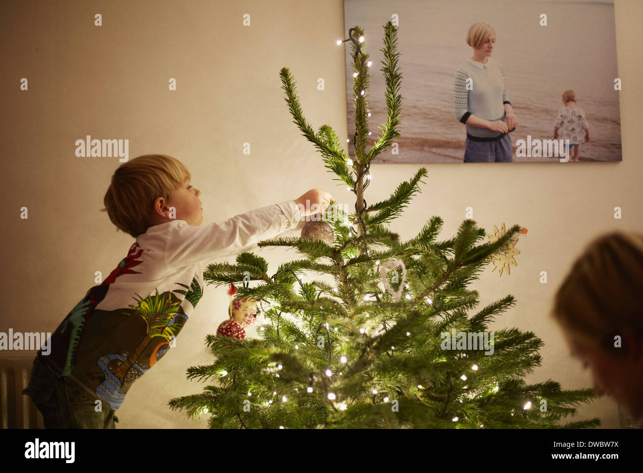 Young boy putting lights onto christmas tree Stock Photo Alamy