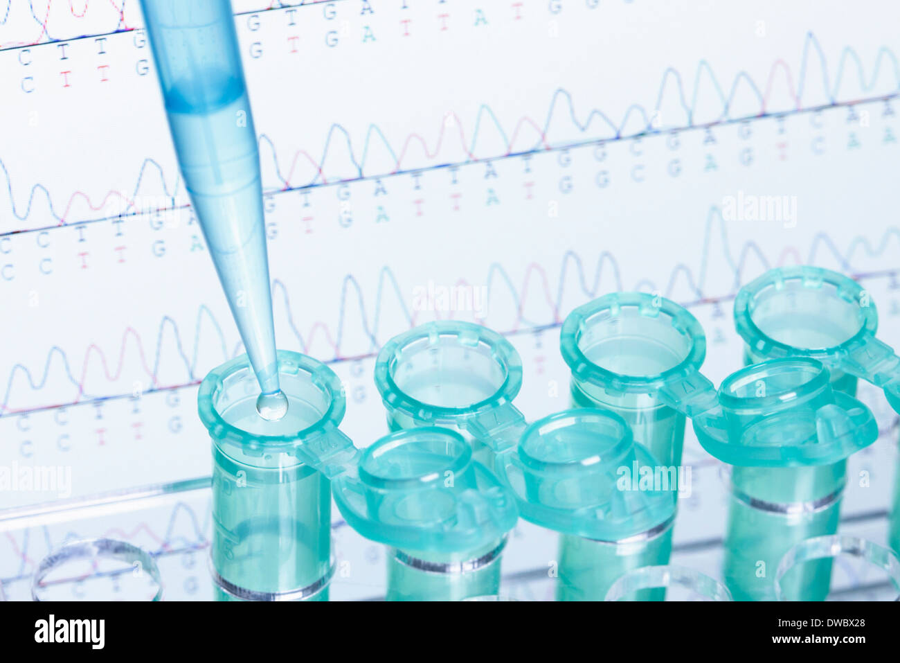 Micropipette and Eppendorf microcentrifuge tubes, DNA sequencing in background Stock Photo