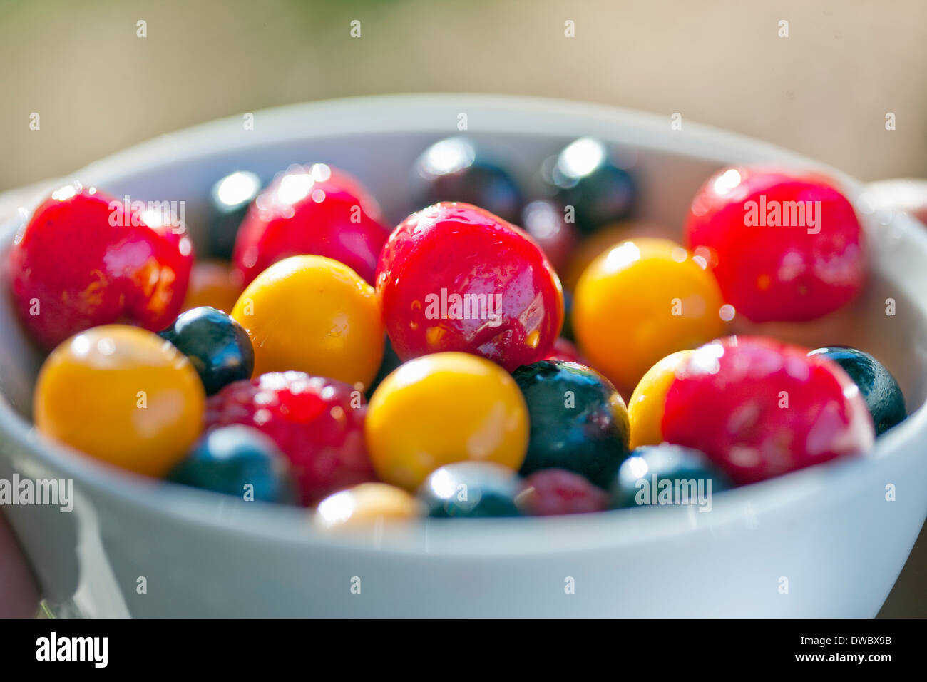 Bowl of mixed berries Stock Photo
