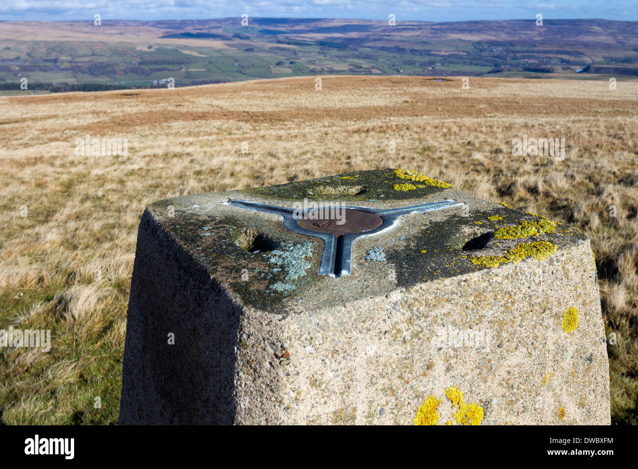Summit Trig Point on Carrs Top Weardale County Durham UK Stock Photo