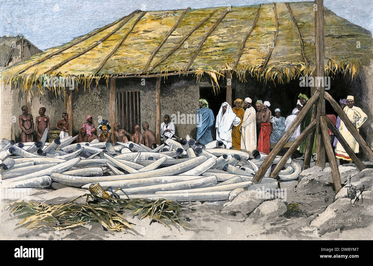 Ivory displayed at Tippu Tib's camp on the Congo, 1880s. Hand-colored woodcut Stock Photo