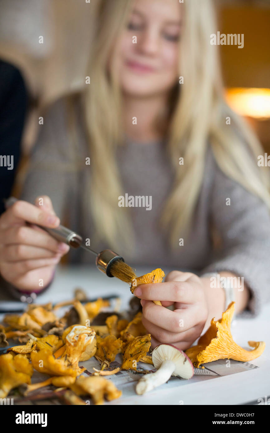 Teenage girl cleaning chanterelle mushroom at home Stock Photo Alamy