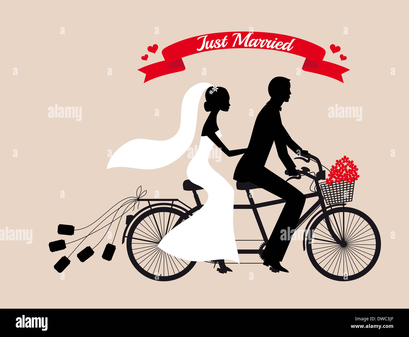 just married, wedding couple on tandem bicycle Stock Photo - Alamy