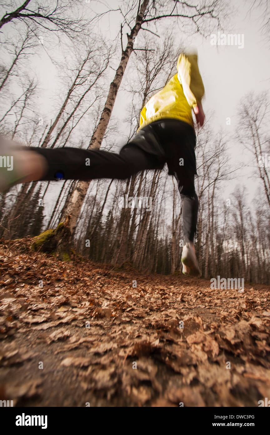 Low angle action shot of a person trail running on fallen leaves in autumn Stock Photo