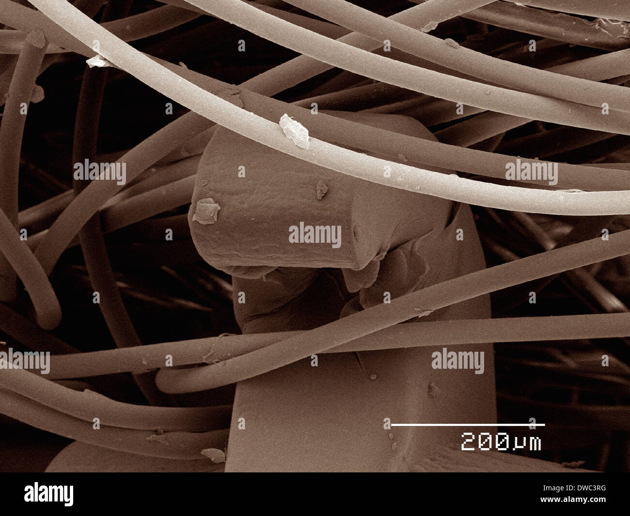 Hook and loop hi-res stock photography and images - Alamy