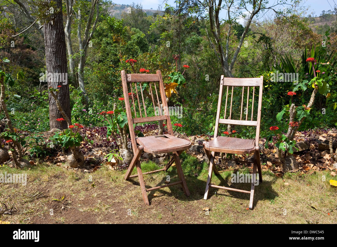 Two rustic wooden chairs in a tropical woodland garden with hills trees and flowers near kodaikanal, Tamil Nadu,  South india. Stock Photo