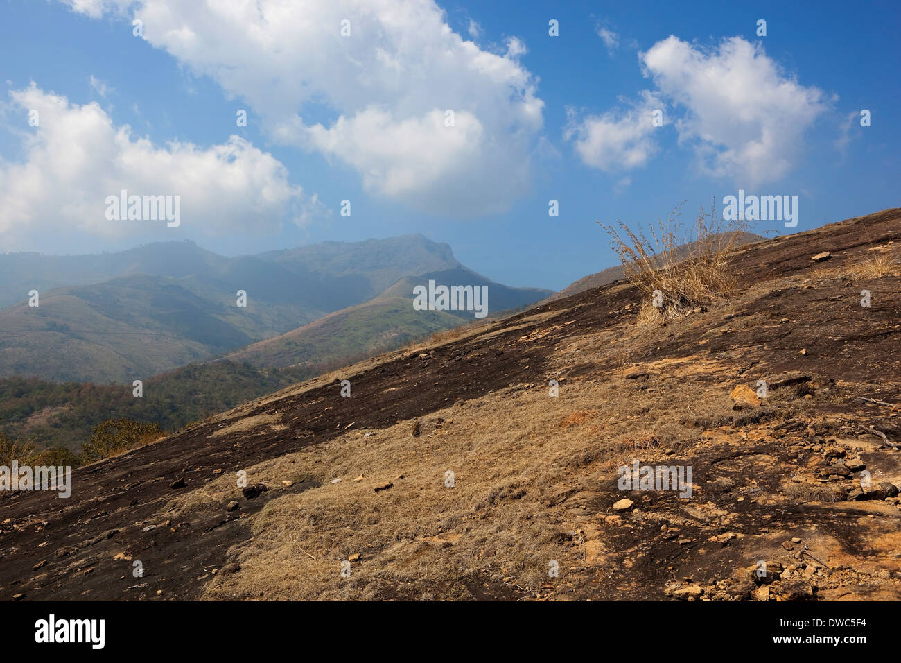 Tamil nadu india landscape hi-res stock photography and images - Alamy
