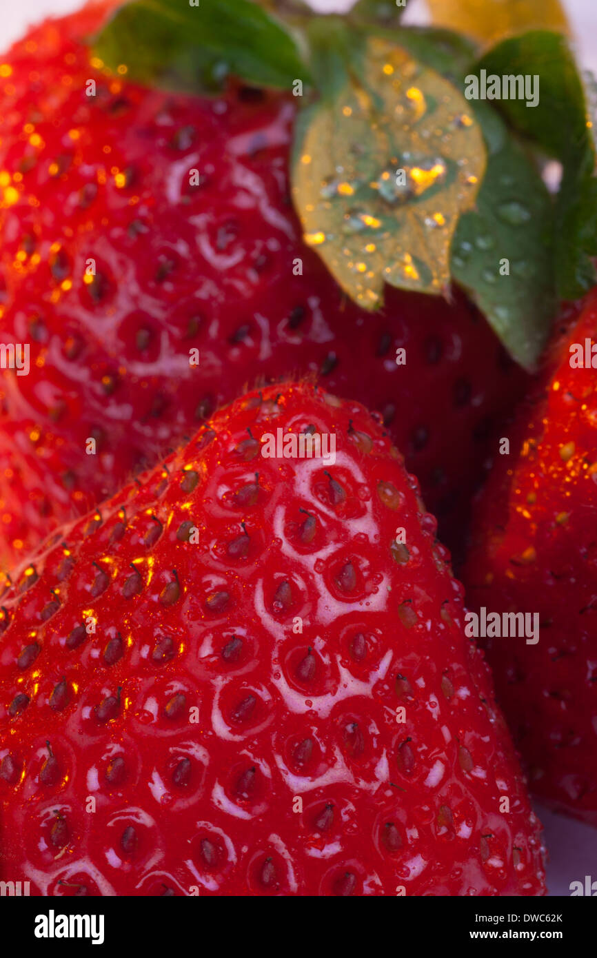 Juicy fresh strawberries Stock Photo