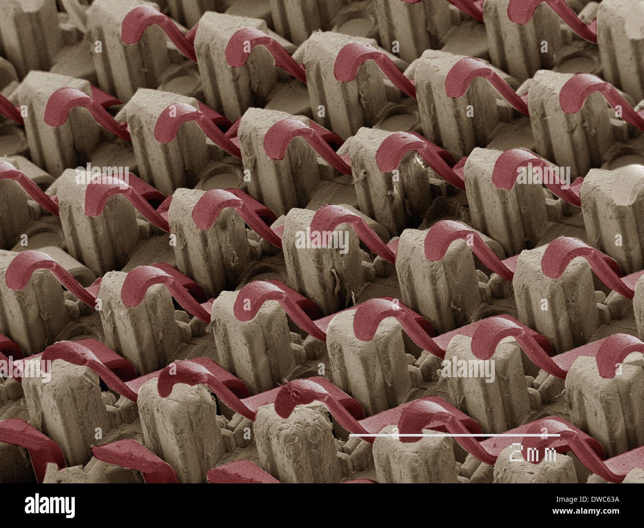 Coloured SEM of computer chip Stock Photo Alamy