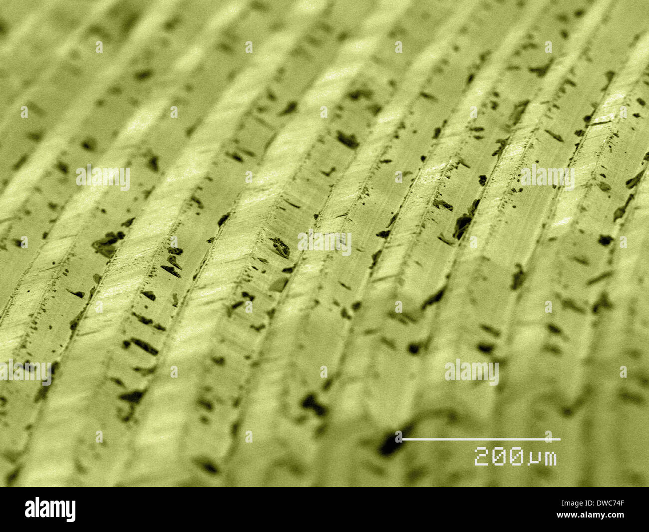 Coloured SEM of grooves on vinyl record Stock Photo - Alamy