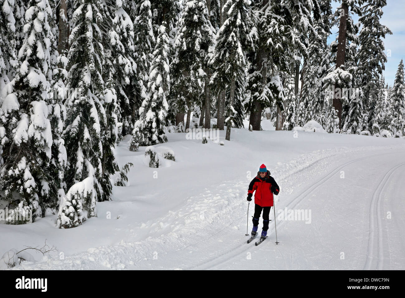 WASHINGTON - Skier on the cross-country ski trails near Windy Pass in the Snoqualmie Pass Nordic Ski Area. Stock Photo