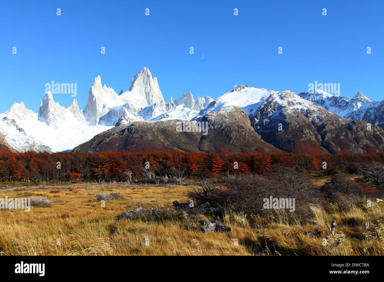 Beautiful nature landscape with Mt. Fitz Roy as seen in Los Glaciares