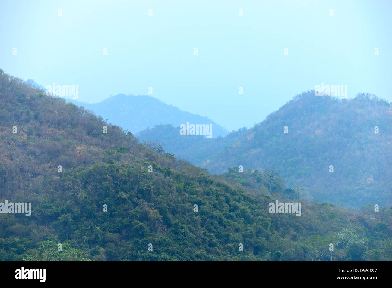 rain forest on mountain Stock Photo