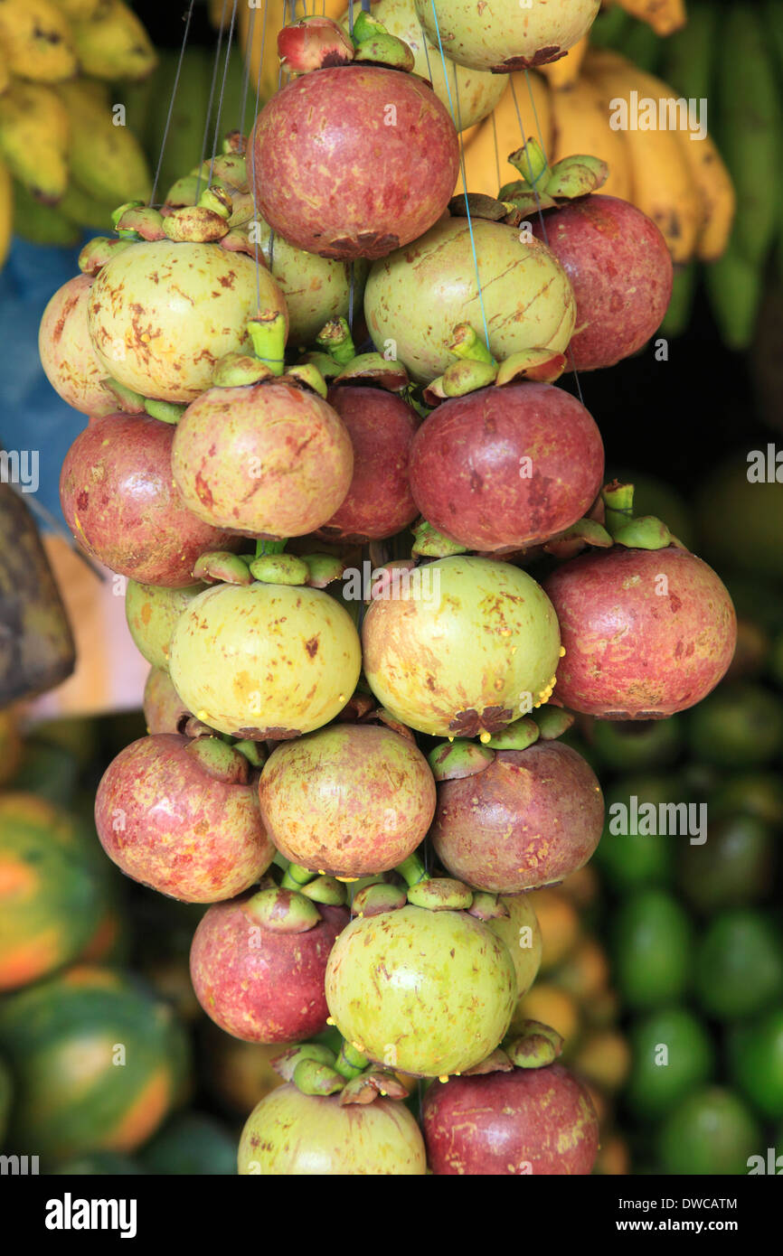Sri Lanka; Kandy; market, mangosteen, fruit, garcinia mangostana, Stock Photo