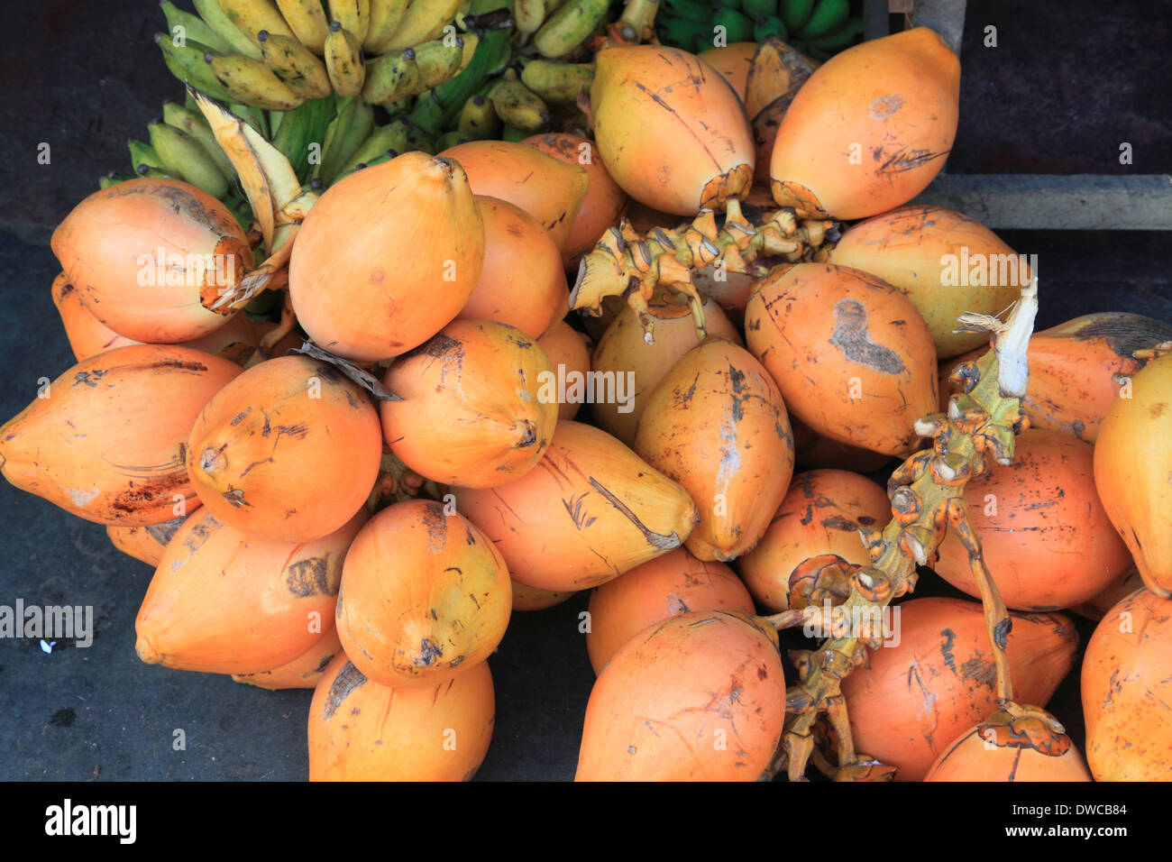 Sri Lanka; Kandy; market, coconuts, Stock Photo