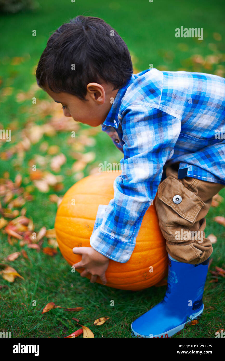 Male toddler in the garden picking up pumpkin Stock Photo