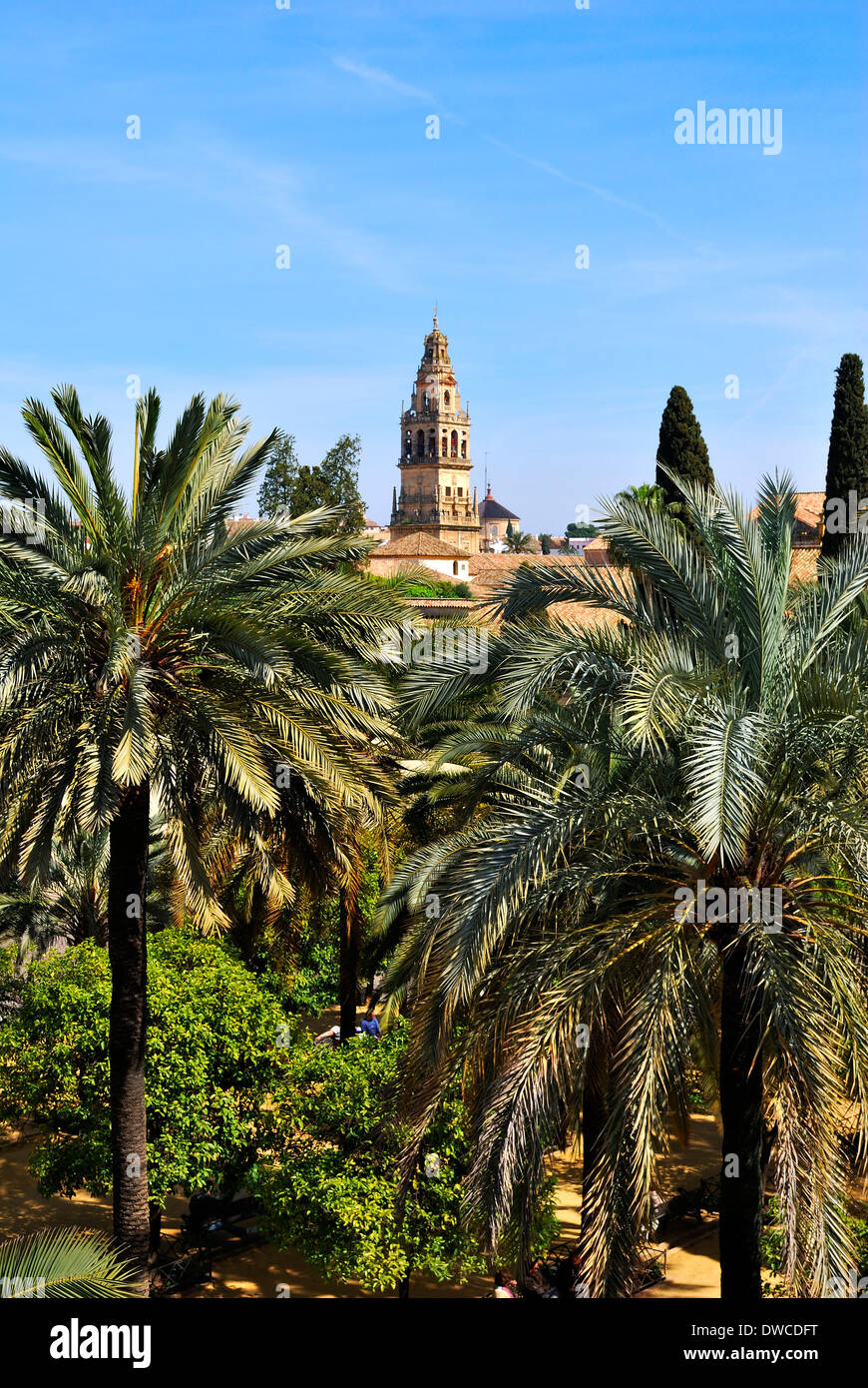 Alcazar of the Christians Kings with the tower of the Mosque-Cathedral in the background. Stock Photo