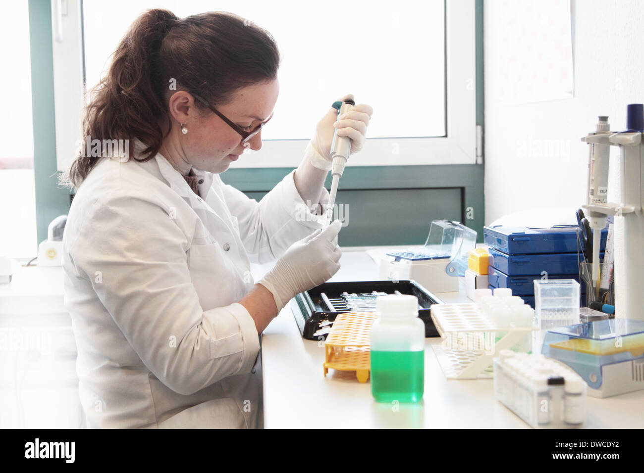 Female scientist working with samples Stock Photo