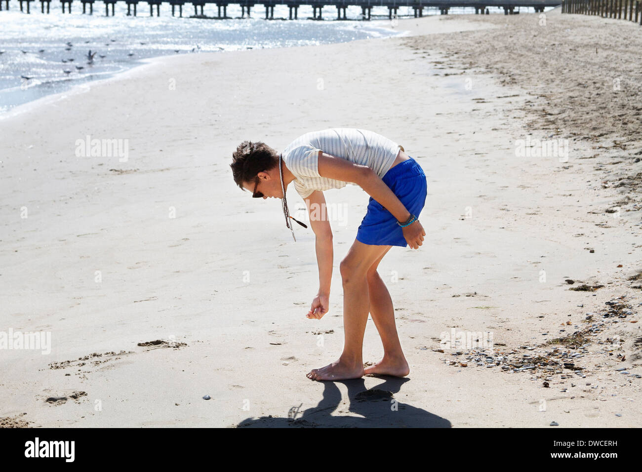 Victoria single shell hi-res stock photography and images - Alamy
