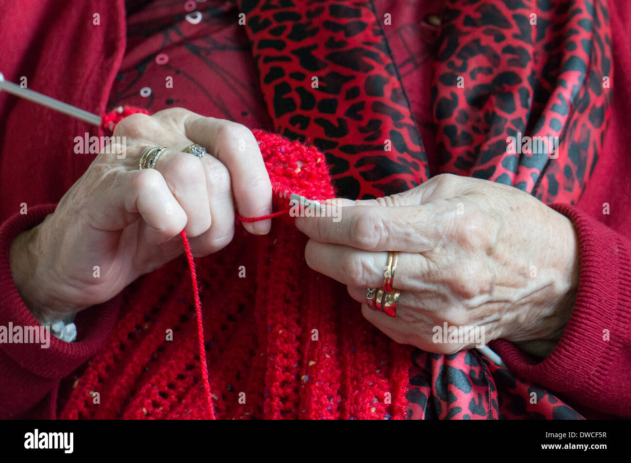 Closeup of elderly lady's hands as she is knitting Stock Photo