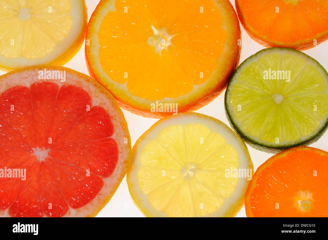 Slices of citrus fruit - lemon, orange, mandarin, blood orange, lime, tangerine, pink grapefruit Stock Photo