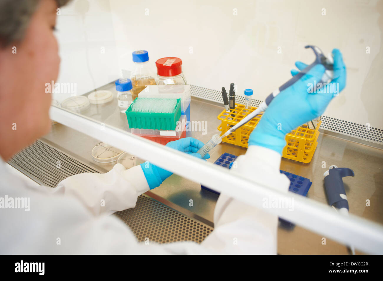 Female scientist pipetting sample into test tube Stock Photo