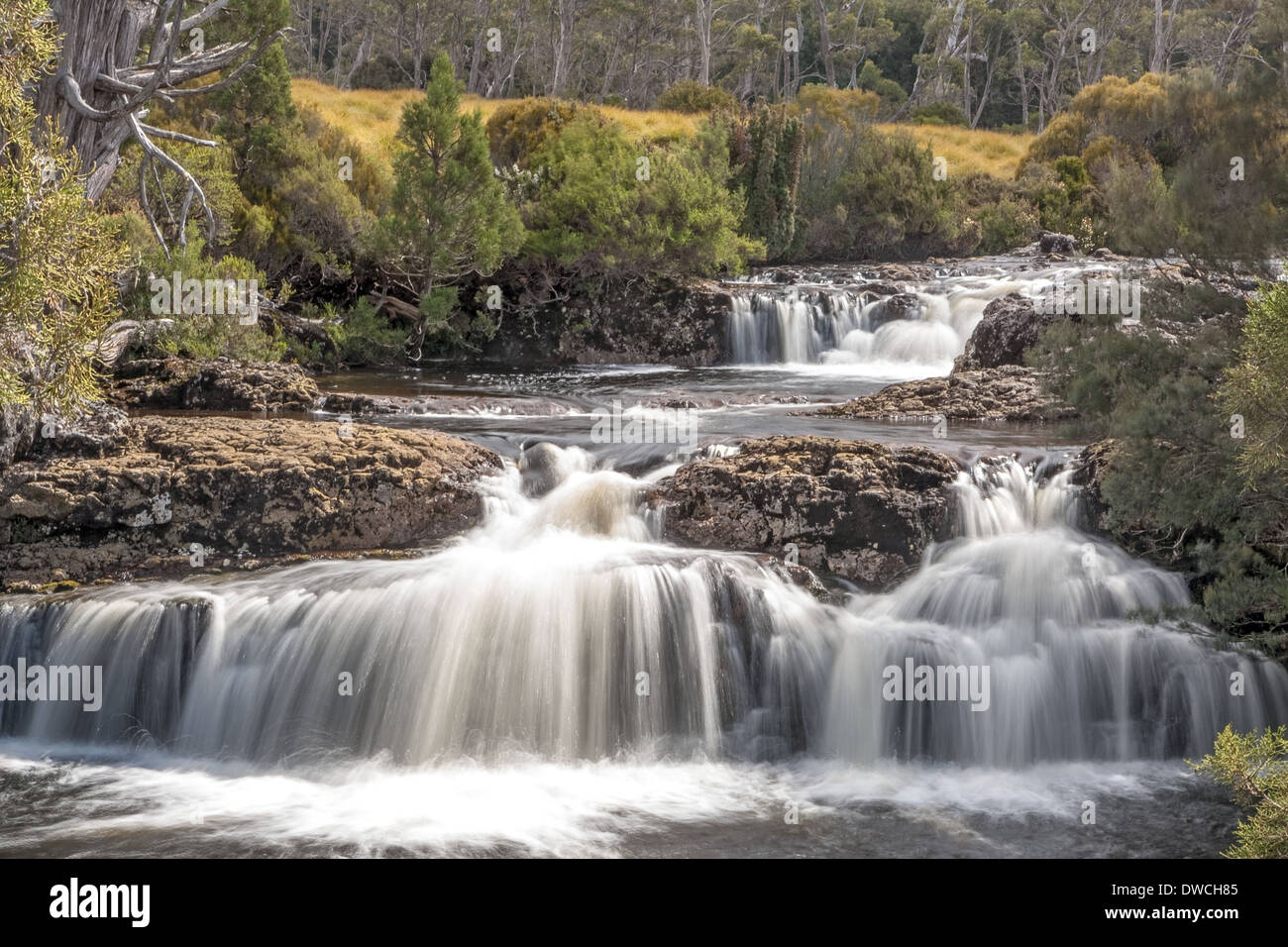 Enchanted walk waterfalls, Cradle Mountain National Park, Tasmania