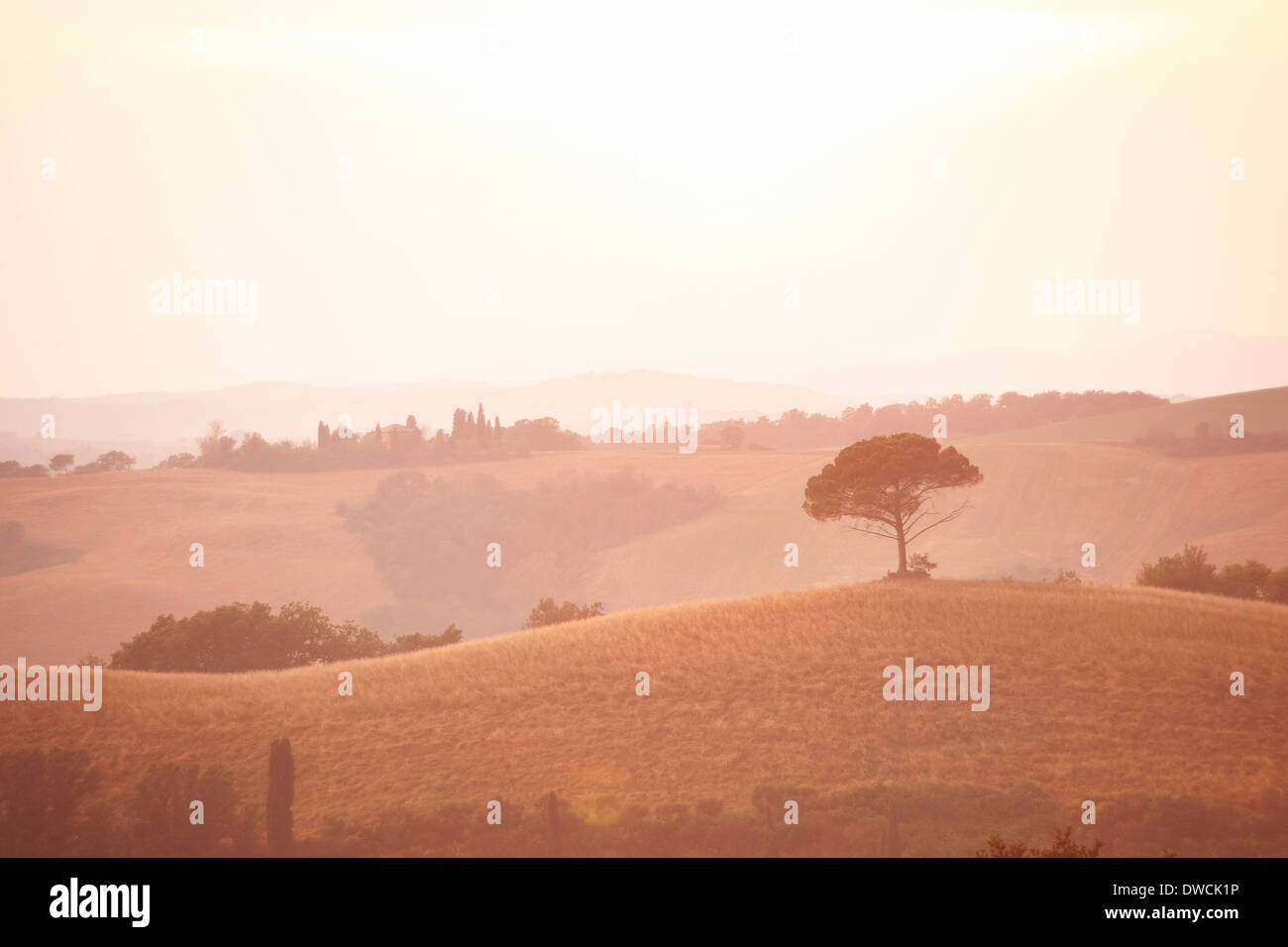 Rural landscape, Tuscany, Italy Stock Photo