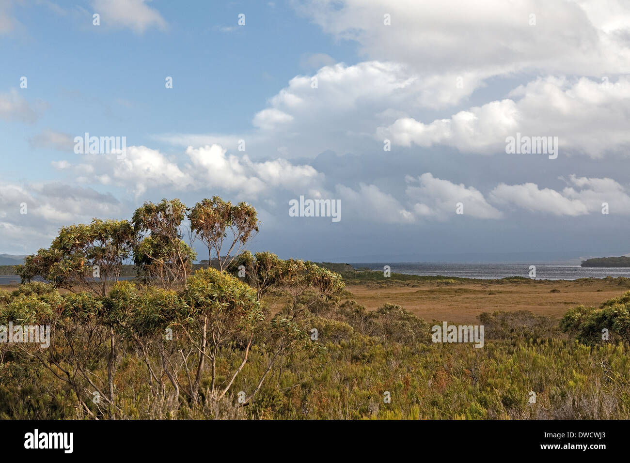 Hells Gates, Macquarie Harbour, from land Strahan, Tasmania, Australia
