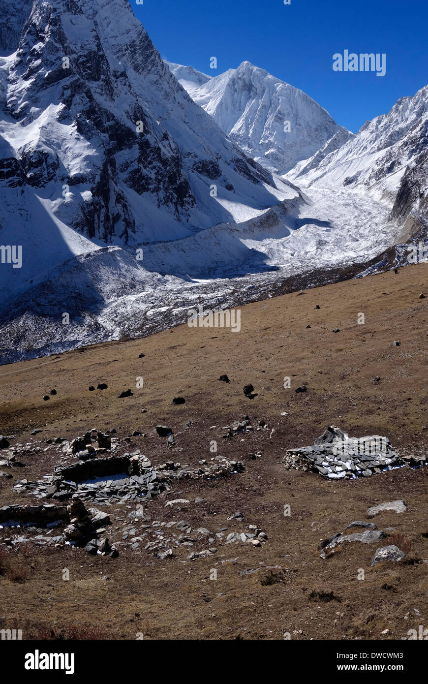 Yaks and yak herder huts below Manaslu North peak, Himalaya range, Nepal. Stock Photo