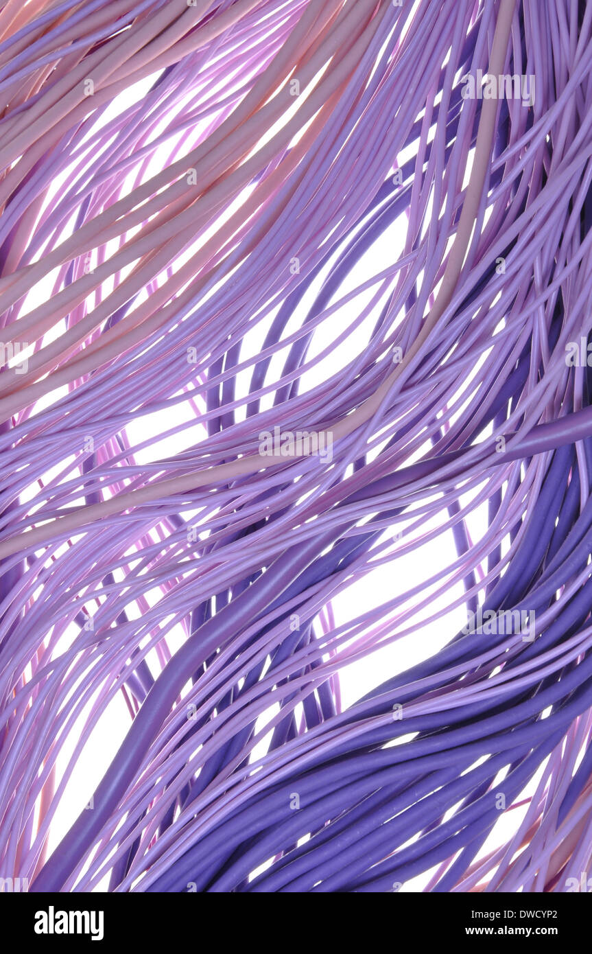 Bundles of computer cable isolated on white background Stock Photo Alamy