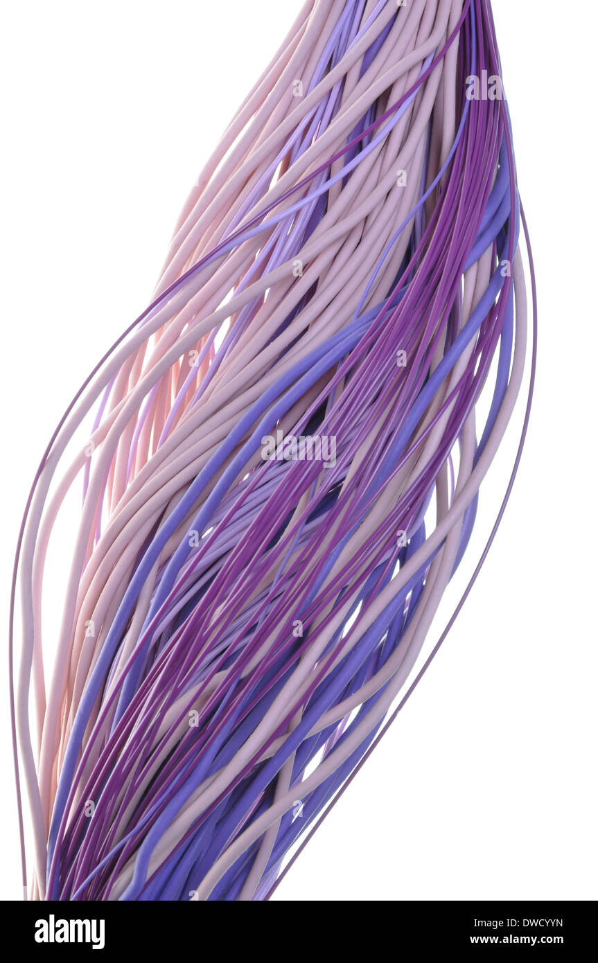 Bundles of computer cable isolated on white background Stock Photo Alamy