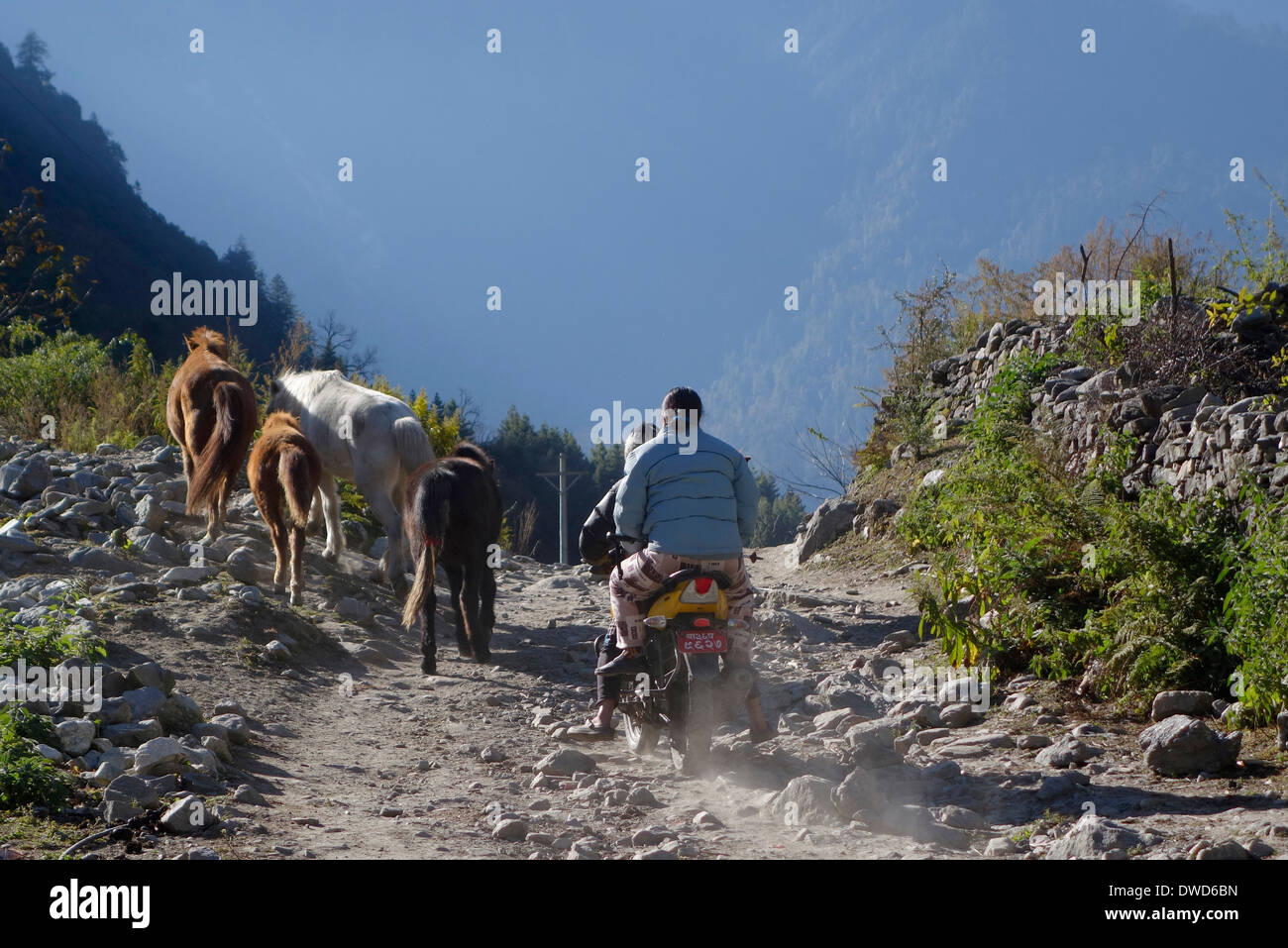 open roads annapurna