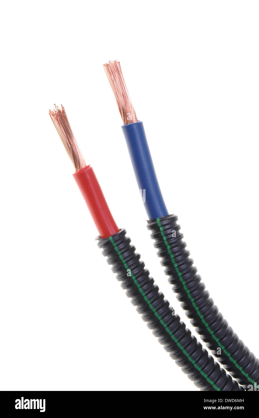 Flexible protective tube with red and blue wires Stock Photo Alamy