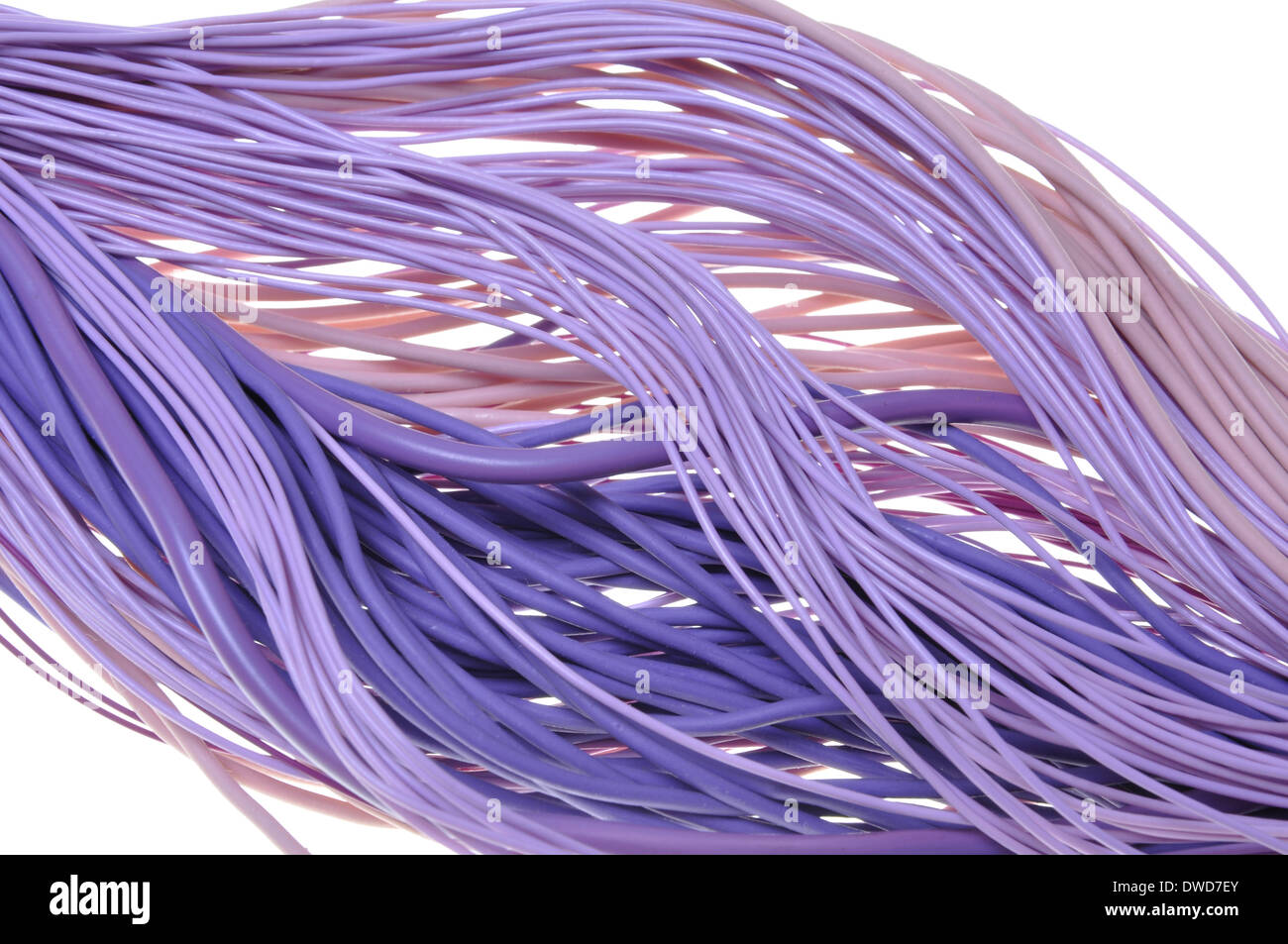 Bundles of computer cable isolated on white background Stock Photo Alamy