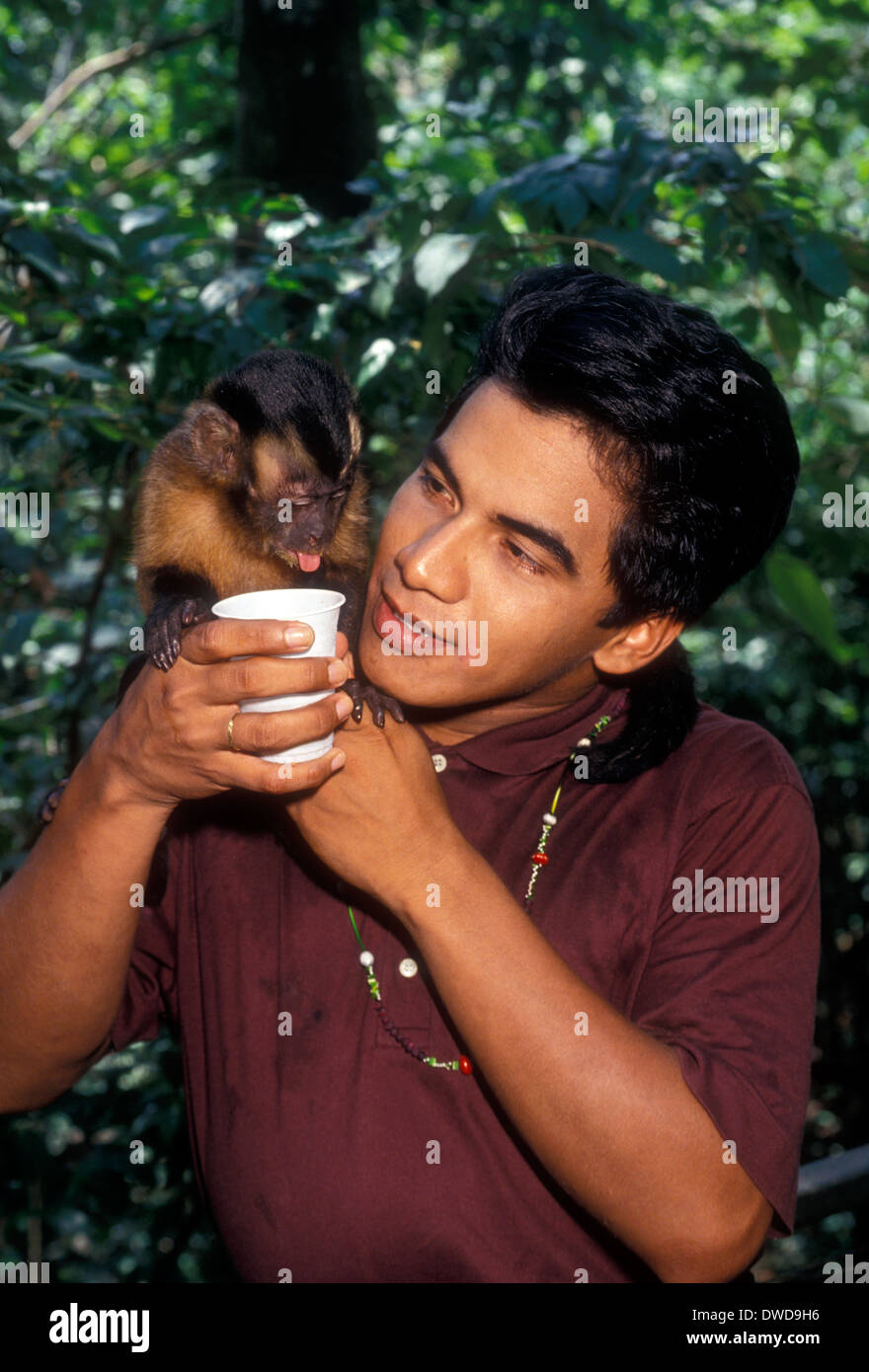 Macaco-prego Capuchinho-capim-primata Macaco Chimpanzé, macaco, mamífero,  animais png