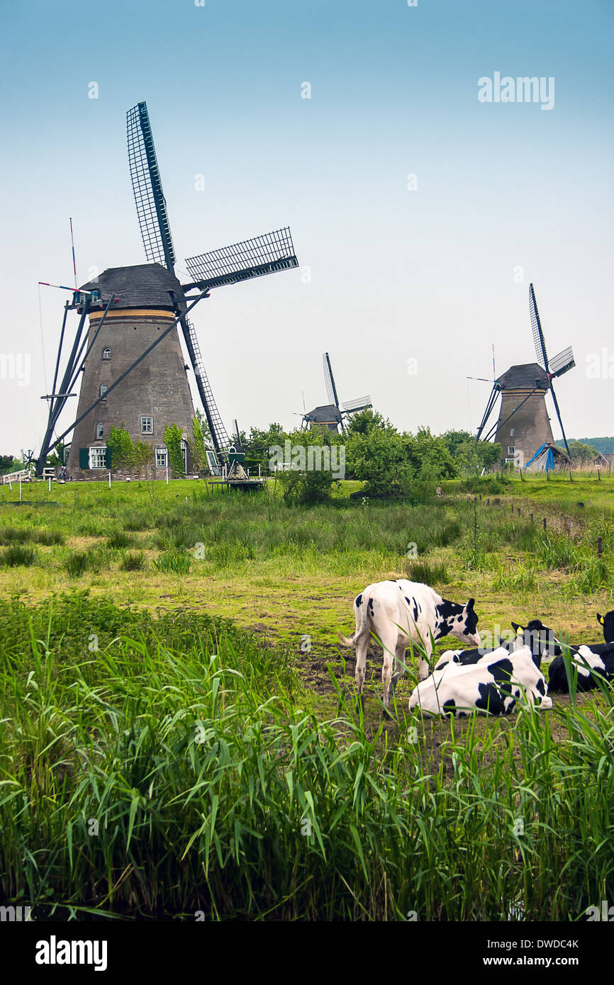 Windmills in Holland (The Netherlands) Stock Photo