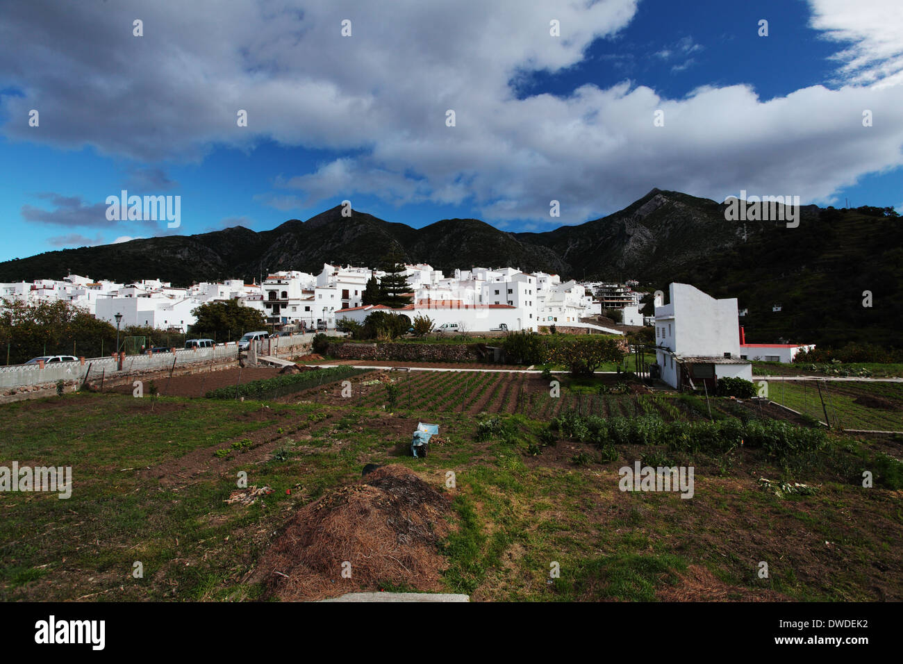 View of mountain village of Istan near Marbella Stock Photo